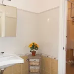 Il Centro Sui 1000 *