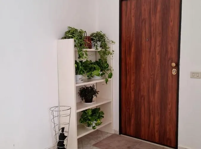 公寓 Il Centro Sui 1000 马尔萨拉