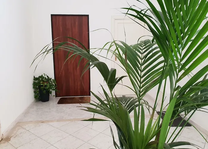 Il Centro Sui 1000 *